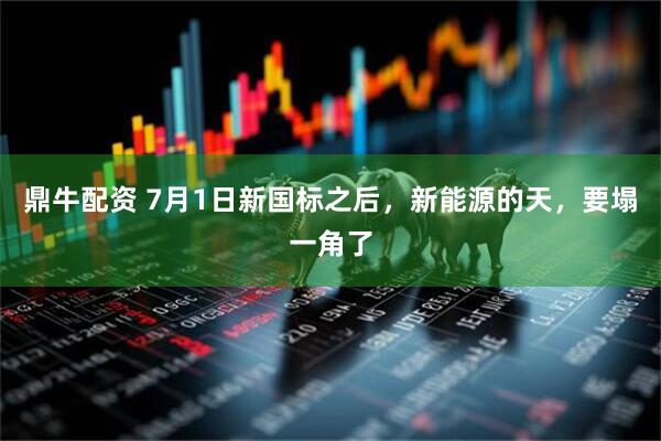 鼎牛配资 7月1日新国标之后，新能源的天，要塌一角了